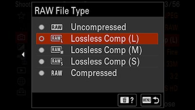 Product image showing the RAW Image selection menu on the LCD display