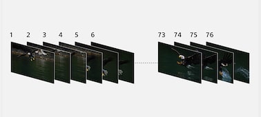 Picture of α7R III 35mm full-frame camera with autofocus