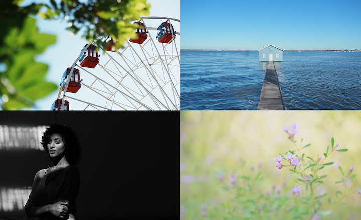 4 sample photos of Creative look: Ferris wheel, boathouse, portrait of a woman, macro of wildflowers