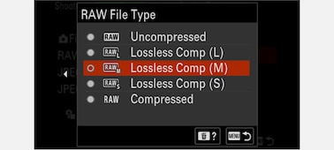 Camera LCD display screen: RAW Image selection screen