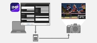 Illustration of IPTC metadata workflow