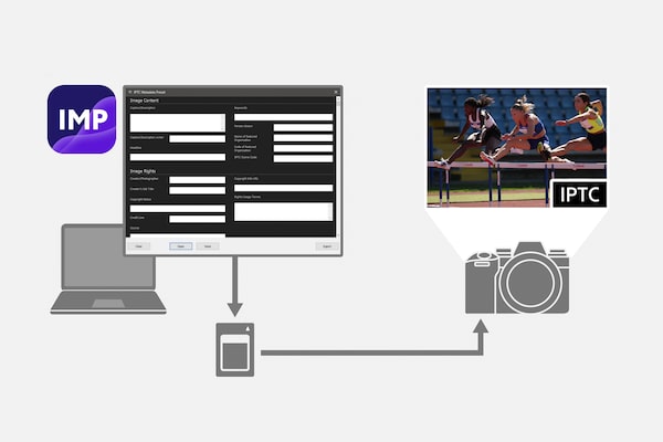 Illustration of IPTC metadata workflow