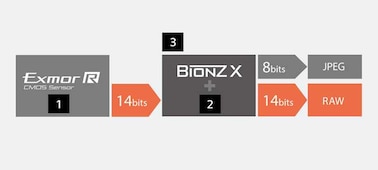 Drawing illustrating 14-bit output from the sensor and 8-bit and 14-bit output from the image processor